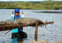 Bahia Pesca cadastra pescadores, marisqueiras e aquicultores no CAF