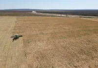 Baixio de Irecê soma mais de 72 toneladas de grãos colhidos em 2023