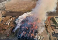 Bombeiros combatem chamas em depósito de feno no oeste da Bahia