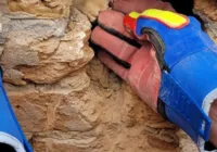 Bombeiros quebram muro para resgatar gato na Bahia; assista