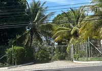 Bombeiros vistoriam endereço diferente do Instituto Arara Azul