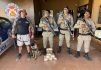 Cadela encontra sete pacotes de maconha em Barreiras