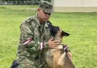 Cadelas no cio e 70 militares buscam cão perdido na selva colombiana