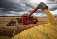 Conab estima safra recorde de 317,6 milhões de toneladas em 2023