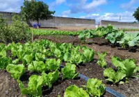 Conjunto Penal de Feira cria projeto de ressocialização