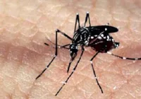 Denúncia aponta falta de agentes de endemias em Feira de Santana