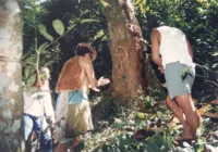 Dono da Terra mantém-se como principal referência de culto a Caboclos