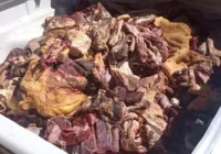 Fiscalização apreende 1 tonelada de carne imprópria para consumo na BA