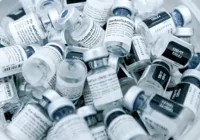 Governo Lula incinerou 36 milhões de vacinas vencidas