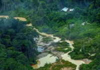 Governo envia ao Congresso projeto que regulamenta a cadeia do ouro