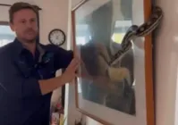 Homem descobre cobra escondida em pintura na parede; vídeo