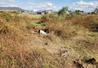 Homem é encontrado em terreno baldio quatro dias após desaparecimento