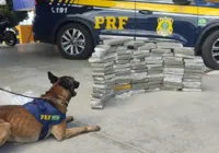 Homem é preso na BR 116 após cão farejar quase 90 kg de maconha