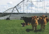 LEM sedia evento sobre pecuária leiteira do Matopiba