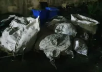 Meia tonelada de fios de cobre é encontrada em Fazenda Grande