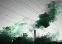 Novas regras globais contra a prática de 'greenwashing'