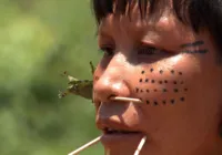 Observatório identifica 42 políticos com fazendas em terras indígenas