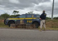 PRF resgata oito pássaros silvestres em Paulo Afonso