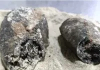 Pães mumificados da II Guerra Mundial são achados no sertão baiano