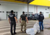 Polícia apreende 15 kg de pasta base de cocaína na Operação Correios