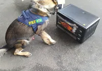 Polícia apreende cocaína de R$ 270 mil escondida em forno elétrico