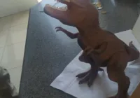 Polícia apreende maconha dentro de "dinossauro"