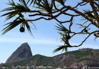 Rio de Janeiro: Justiça paralisa obras da tirolesa do Pão de Açúcar