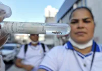 Salvador inicia “Semana municipal de mobilização contra o Aedes Aegypt