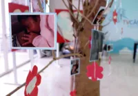 Semana do Bebê movimenta Salvador a partir desta quinta