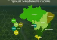 Solo da Amazônia armazena metade do carbono no Brasil
