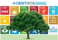 Sustentável, celulose inspira pesquisas e amplia mercado