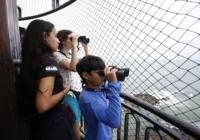 Temporada de observação de baleia tem início oficial na Bahia