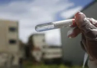 Testes para chikungunya e tuberculose estão escassos no Brasil
