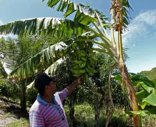 Agroecologia garante extensão rural para a agricultura familiar na BA