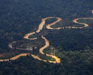 Ataque a tiros em aldeia yanomami mata criança e deixa cinco feridos