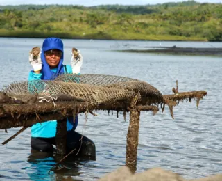 Bahia Pesca cadastra pescadores, marisqueiras e aquicultores no CAF