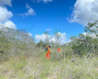 Bombeiros retomam buscas por cunhados em Paulo Afonso