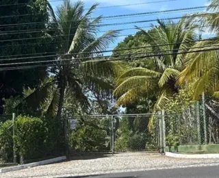 Bombeiros vistoriam endereço diferente do Instituto Arara Azul