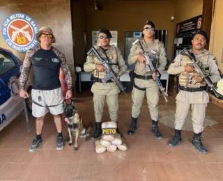 Cadela encontra sete pacotes de maconha em Barreiras