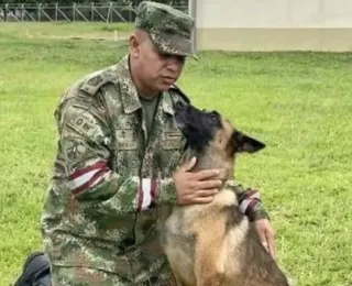 Cadelas no cio e 70 militares buscam cão perdido na selva colombiana