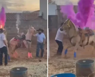 Casal gera polêmica ao usar cavalos em chá revelação; vídeo