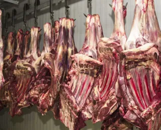 Estudo aponta que valor da carne pode cair 4% em 2023