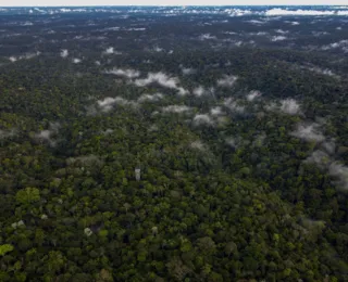 Desmatamento na Amazônia cai 31% no governo Lula