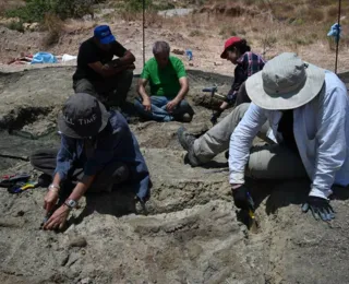 Fósseis de 10 hipopótamos anões são encontrados na ilha grega de Creta