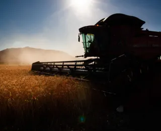 Governo faz ajustes em programas de concessão de crédito rural