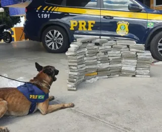 Homem é preso na BR 116 após cão farejar quase 90 kg de maconha