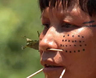 Observatório identifica 42 políticos com fazendas em terras indígenas