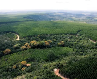 Parlamento europeu aprova cinco leis para regulação climática