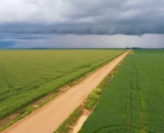 Regra que reduzia controle de qualidade de agrotóxicos é derrubada