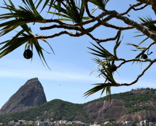 Rio de Janeiro: Justiça paralisa obras da tirolesa do Pão de Açúcar